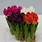 white decorative flowers